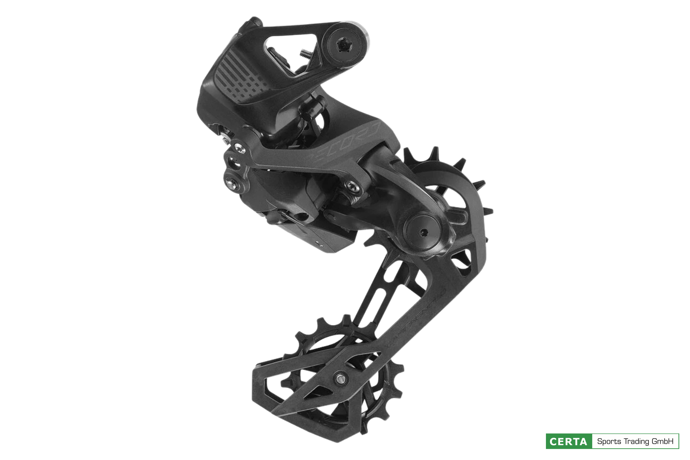 CAMPAGNOLO Record WRL direct Schaltwerk, 13s