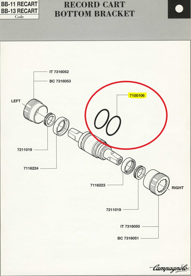 CAMPAGNOLO Dichtungsring (2 Stk.) 