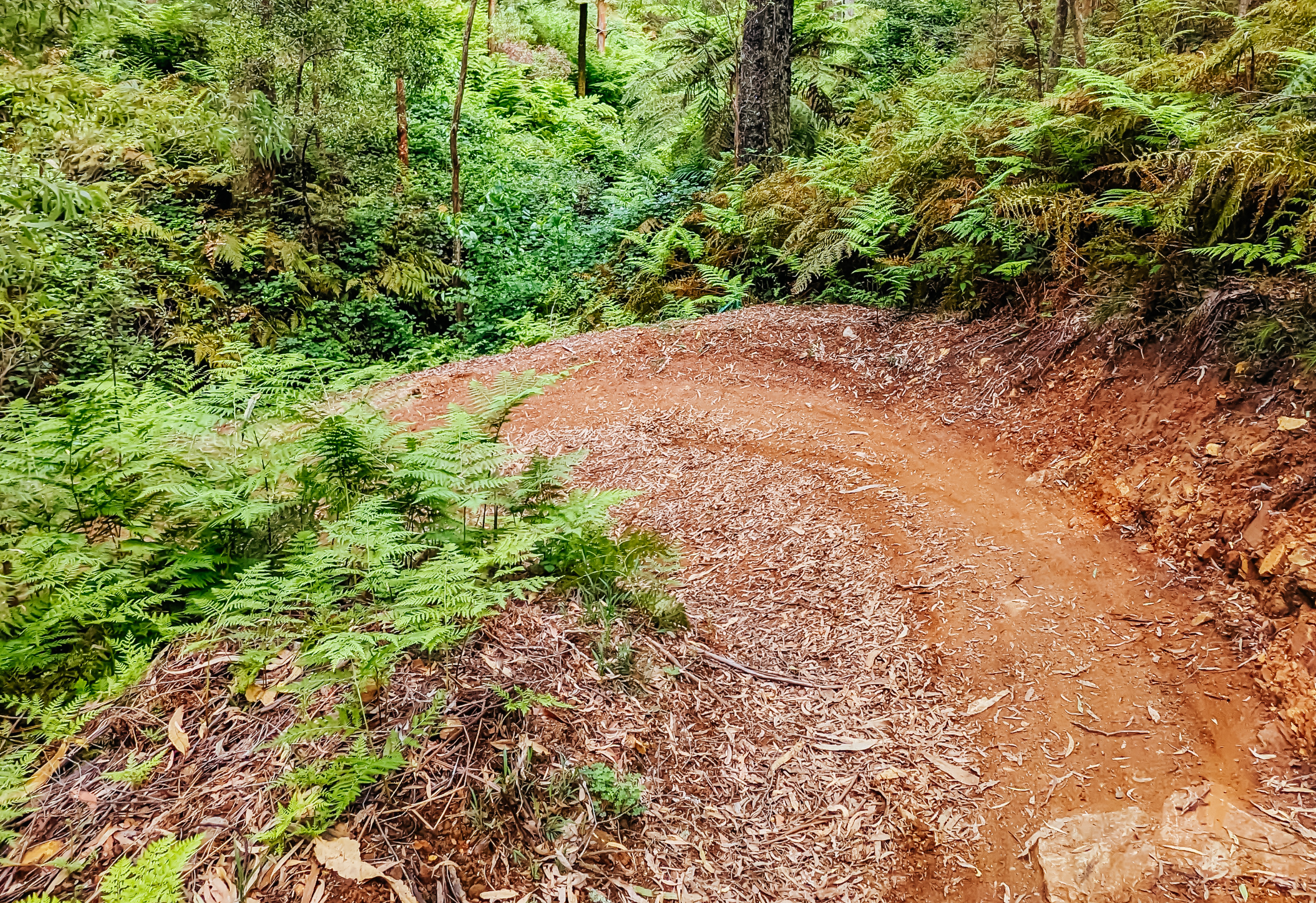 SuplestTrail