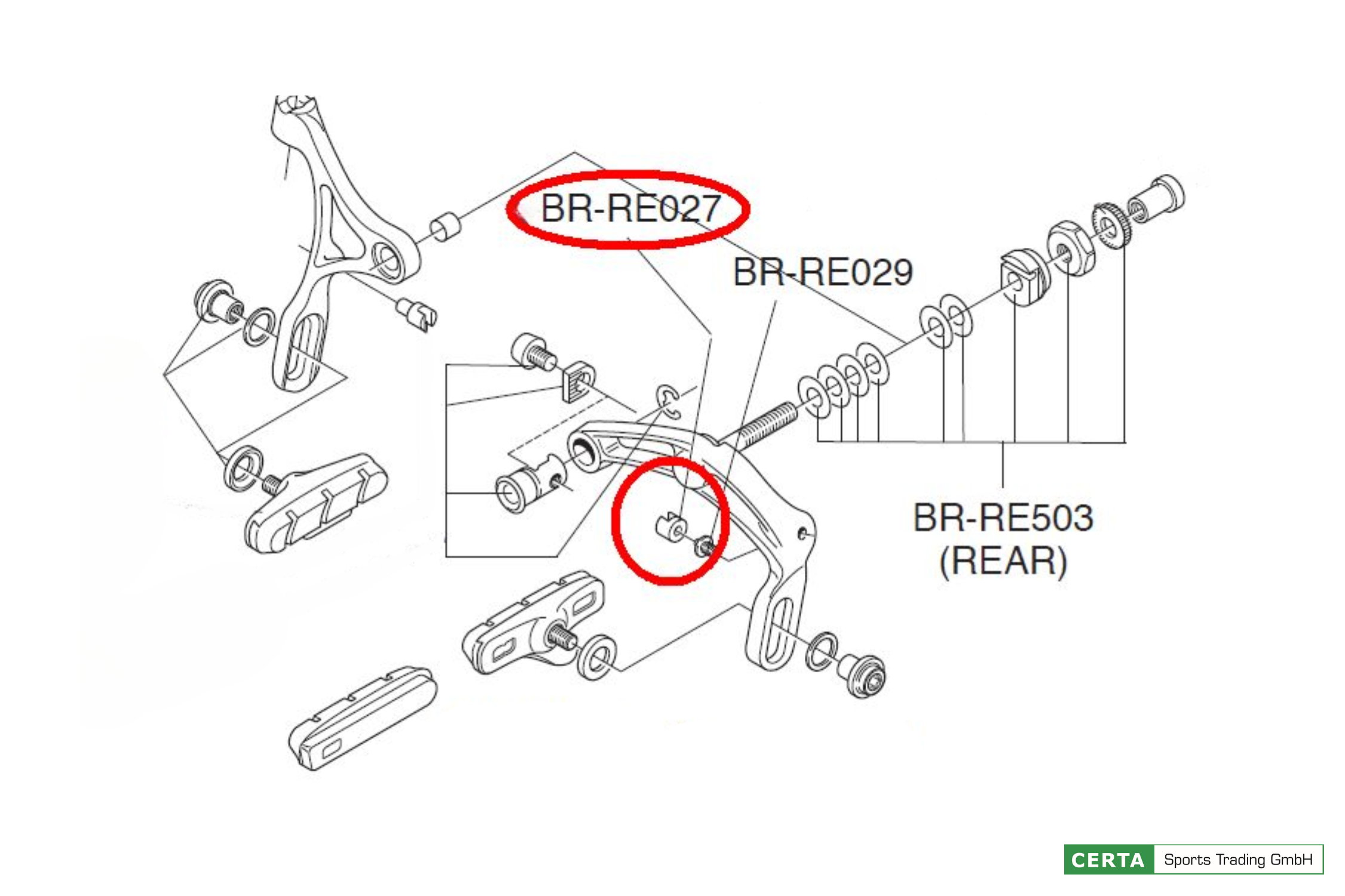 CERTA Sports Trading GmbH (12872x) CAMPAGNOLO Federhalter (5 Stk.)