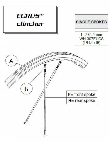 CAMPAGNOLO Speiche Eurus silber hinten links 276mm (1 Stk.)